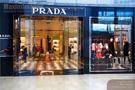 prada online canada|can you buy Prada online.